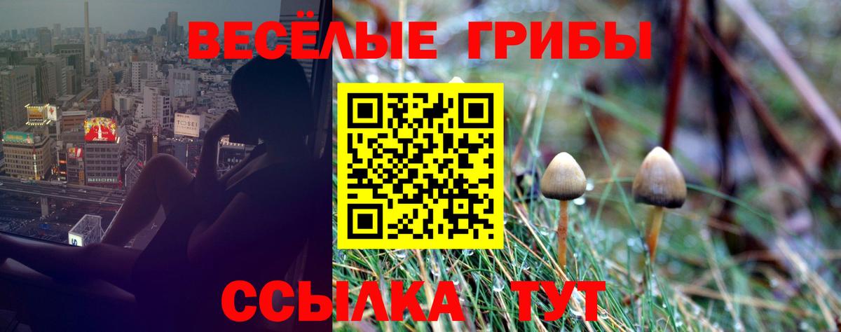 Галлюциногенные грибы MAGIC MUSHROOMS Можайск