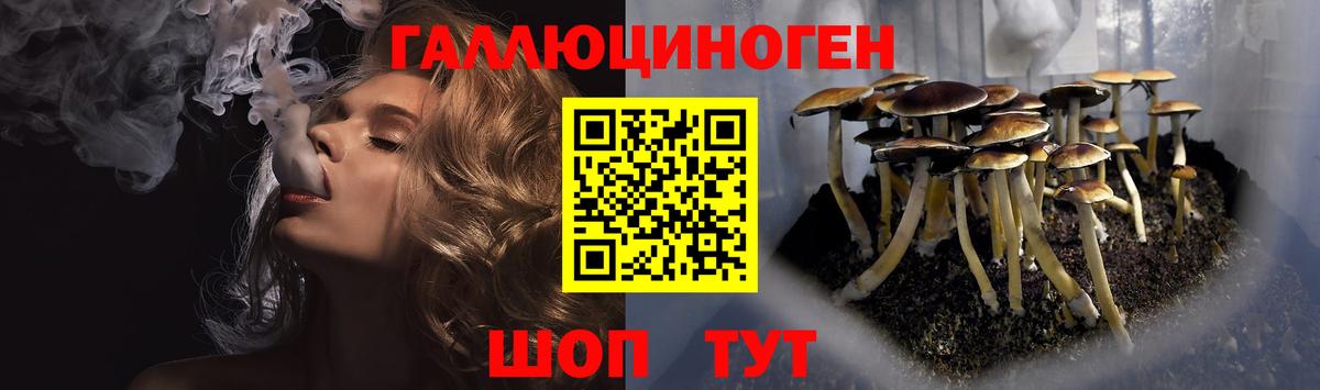 Можайск  Псилоцибиновые грибы ЛСД  Вход с VPN 
